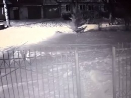 В России водитель на скорости сбил женщину, гуляющую с ребенком: жуткий момент попал на видео