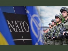Нацгвардия активно сотрудничает с НАТО (видео)