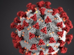 Китай засекретил исследования о происхождении коронавируса