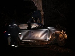 В Днепре на Донецком шоссе Mitsubishi влетел в дерево: водителя зажало в салоне