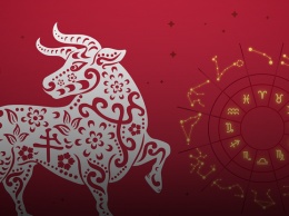Китайский гороскоп на 2021 год: что ждет каждого