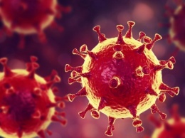 Ученые подтвердили: новый штамм коронавируса - гораздо заразнее