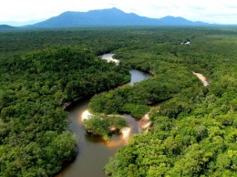 Американские ученые заявили о возможном исчезновении лесов Амазонки к 2064 году