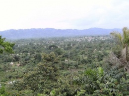 В Конго боевики напали на деревню: 26 погибших