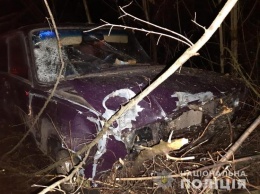 Мужчина в Запорожской области погиб под колесами легковушки и "Скорой помощи" (фото)