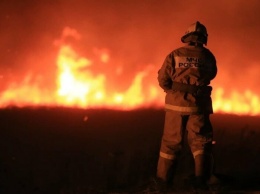 Масштабный пожар под Мариуполем забрал жизни двух людей
