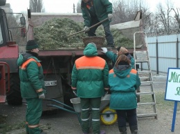 В Киеве начали принимать новогодние елки