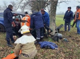 Под Днепром Audi "вылетел" с дороги в дерево: водителя вырезали из машины (фото)