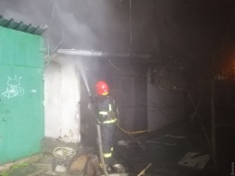 На поселке Котовского во время пожара погибли 70 кур