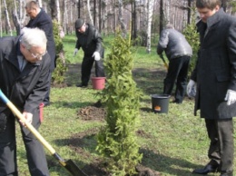 В Кривом Роге озеленят город за 93 миллиона: что сделают