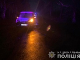 В Житомирской области водитель наехал на группу детей: один человек погиб