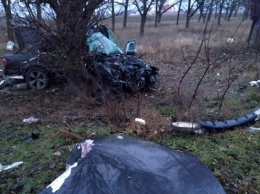 Сотрудник полиции разбился на машине в Николаевской области