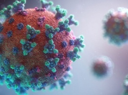 Дания запретила въезд из Южной Африки из-за новой мутации коронавируса