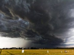 Погода будет аномальной: синоптик дал прогноз на лето в Украине