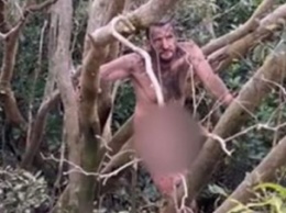 В Австралии спасли голого грабителя, несколько дней прятавшегося от крокодилов на деревьях (видео)