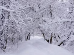 В Украине выпадет слой снега до 42 см: даты и карта погоды