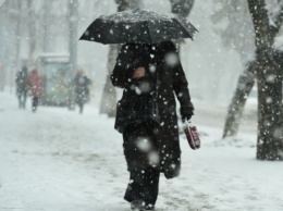 Снег, дождь и сильный ветер: запорожцев предупреждают об ухудшении погоды