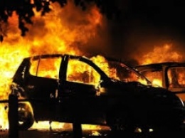 В Запорожской области горел автомобиль (фото)