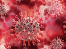 Новую мутацию коронавируса выявили в Японии