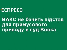 ВАКС не видит оснований для принудительного привода в суд Вовка