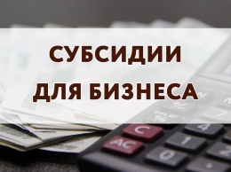До 14 января юрлица могут подать документы на получение субсидии из бюджета Крыма