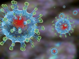 В ВОЗ ожидают появление новых штаммов коронавируса COVID-19