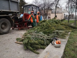 В Киеве показали полный цикл утилизации новогодних елок