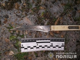 В Бердянском районе мужчина "пырнул" ножом бывшую жену