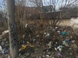 На уборку стихийных свалок в Заводском районе Николаева потратят 4,2 миллиона