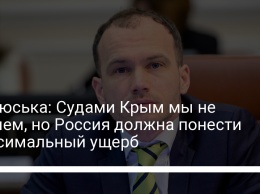 Малюська: Судами Крым мы не вернем, но Россия должна понести максимальный ущерб
