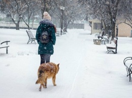 В Луганске запретили выгул животных в парках и скверах