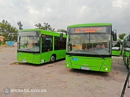 Общественники просят Сенкевича не закупать новые автобусы у Беларуси - мэр говорит, что город не может влиять на выбор поставщика