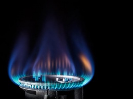 Бизнес призвал Кабмин не снижать цену на газ для населения и предупредил о последствиях