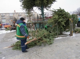 Новогодняя елка Павлограда стала настоящим угощением для животных заповедника Химзавода