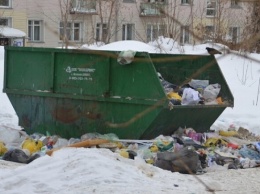 Удаленка затянулась: на Бабурке дети рылись в мусорном баке (видео)
