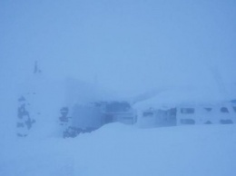 В Карпатах выпало 96 сантиметров снега: синоптики предупредили об опасности (фото)