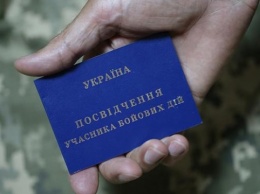 Законопроект о статусе ветеранов уже на финальной стадии - Лапутина