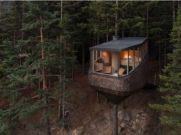 Норвежцы предлагают чудный отдых на природе - в доме на дереве (ФОТО)