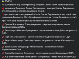 Кабмин сменил руководителя Госагентства лесных ресурсов и согласовал назначения в четырех ОГА