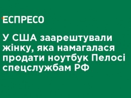 В США арестовали женщину, которая пыталась продать ноутбук Пелоси спецслужбам РФ