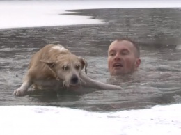 В Белгородской области журналист снимал сюжет про уток и спас тонувшую собаку