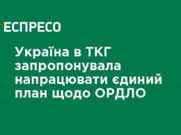 Украина в ТКГ предложила разработать единый план относительно ОРДЛО