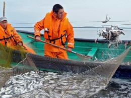 Россия согласилась на требования Китая по рыбе