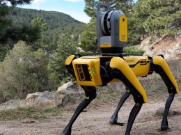 "Сбер" приобрел робота-собаку у Boston Dynamics стоимостью 74,5 тысячи долларов