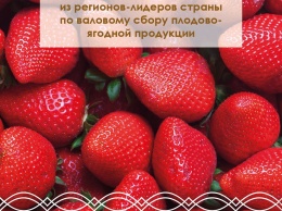 Крым стал одним из регионов-лидеров России по валовому сбору плодов и ягод