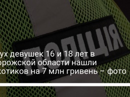 У двух девушек 16 и 18 лет в Запорожской области нашли наркотиков на 7 млн гривень - фото