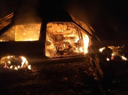 У мужчин, которые незаконно рубили лес в Одесской области, сгорела машина
