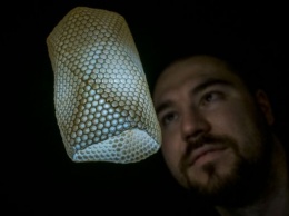 Чешский студент научил пчел делать абажуры для ламп