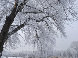 Украину засыпет полуметровым слоем снега: когда ждать непогоды