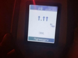 В Киеве патрульные обнаружили рекордно пьяного водителя: фото